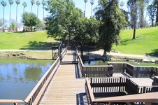 Enlarge photo 60