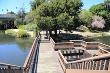 Enlarge photo 63
