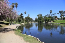 Enlarge photo 70