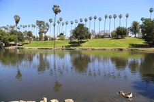 Enlarge photo 71