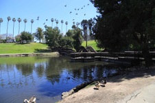 Enlarge photo 72