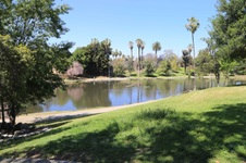 Enlarge photo 75