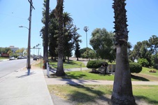 Enlarge photo 78