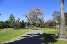 Enlarge photo 80