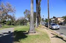 Enlarge photo 81