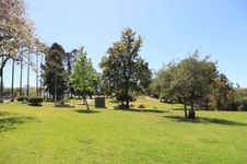 Enlarge photo 83