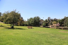 Enlarge photo 84