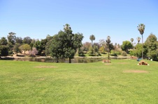 Enlarge photo 85