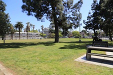 Enlarge photo 45