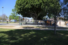 Enlarge photo 51