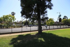 Enlarge photo 61
