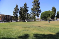 Enlarge photo 63