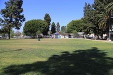 Enlarge photo 64