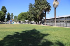 Enlarge photo 65