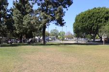 Enlarge photo 66