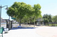 Enlarge photo 2