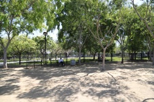 Enlarge photo 7