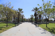 Enlarge photo 18