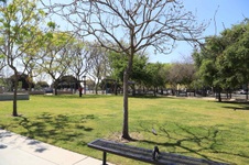 Enlarge photo 19