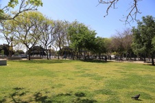 Enlarge photo 25