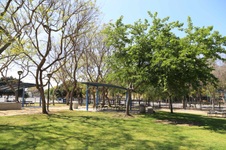 Enlarge photo 26
