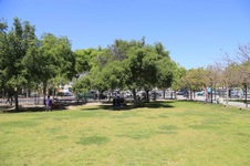 Enlarge photo 28