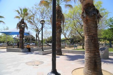 Enlarge photo 36