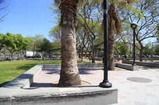 Enlarge photo 40