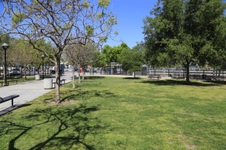 Enlarge photo 41