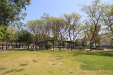 Enlarge photo 42