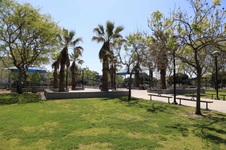 Enlarge photo 43