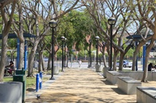 Enlarge photo 46