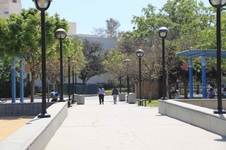 Enlarge photo 49