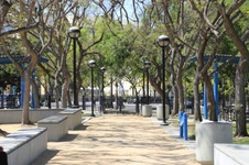 Enlarge photo 52