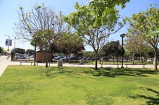 Enlarge photo 58