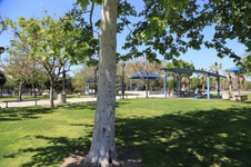 Enlarge photo 59