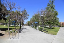 Enlarge photo 62