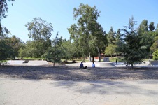 Enlarge photo 19
