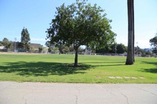Enlarge photo 28