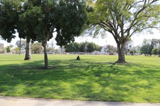 Enlarge photo 31