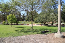 Enlarge photo 34