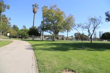 Enlarge photo 35