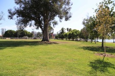 Enlarge photo 36