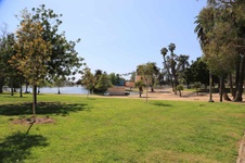 Enlarge photo 37