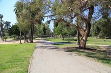 Enlarge photo 38
