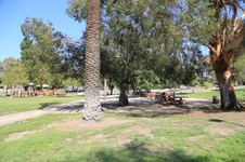 Enlarge photo 41