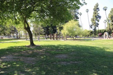 Enlarge photo 42