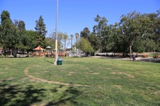 Enlarge photo 45