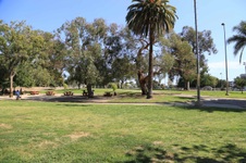 Enlarge photo 46