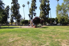 Enlarge photo 49